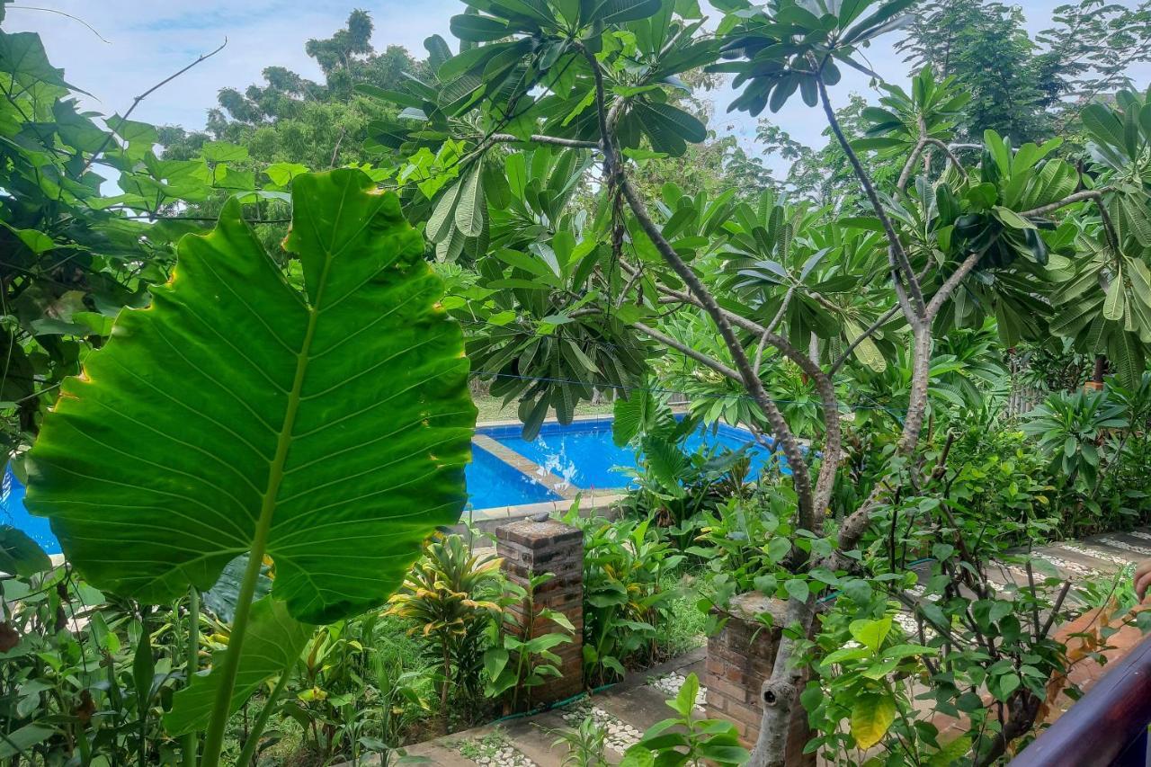 Oyo 3070 Villa Lovina Eco Lodge Exteriör bild